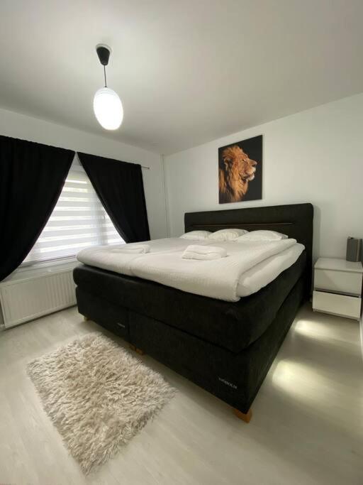 דירות רובניימי Modern Apt - King-Size Bed - Wifi -Self Check In מראה חיצוני תמונה
